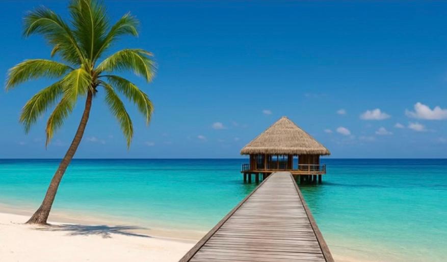 Black Friday Exclusive Deals 